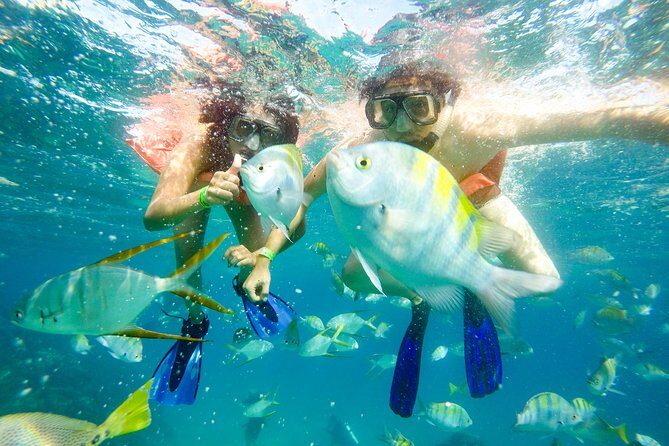 Half-Day Private Snorkel Sailing Adventure in Cabo San Lucas - The Value of This Experience