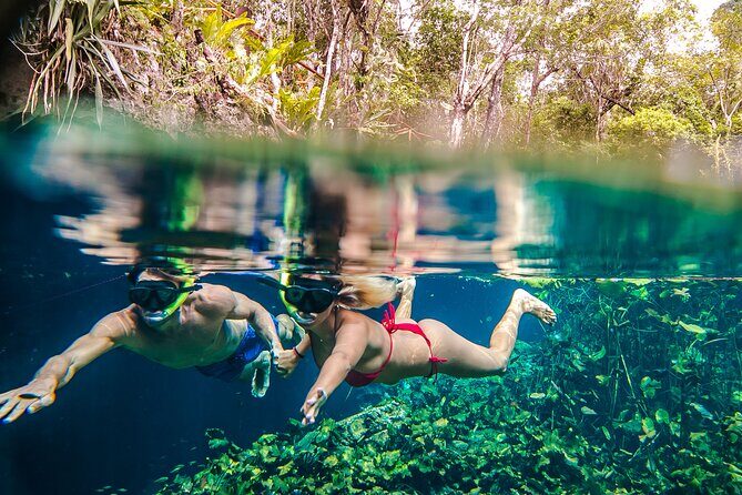 Half Day Private Snorkeling with Turtles and Majestic Cenotes - Frequently Asked Questions