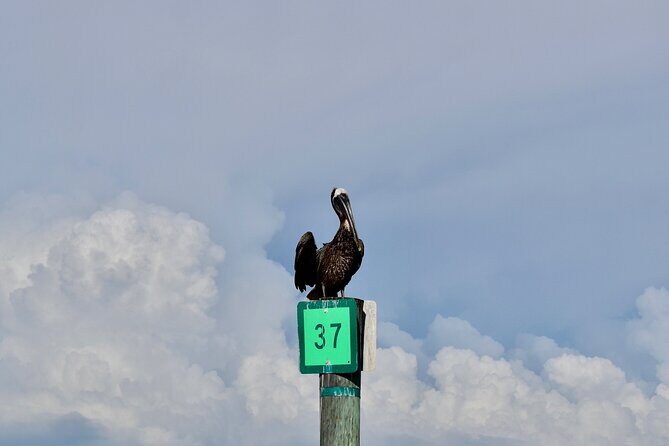 Half-Day Private Tiki Boat Beach Tour from Fort Myers - Final Thoughts
