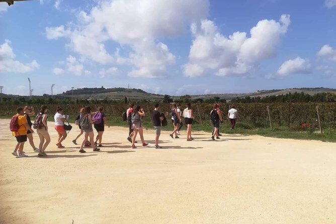 Half Day Private Tour Around Malta - Final Thoughts