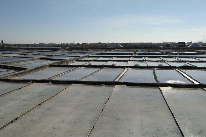 Half-Day Private Tour in Aveiro and Costa Nova - An Honest Look at the Tour: What to Expect