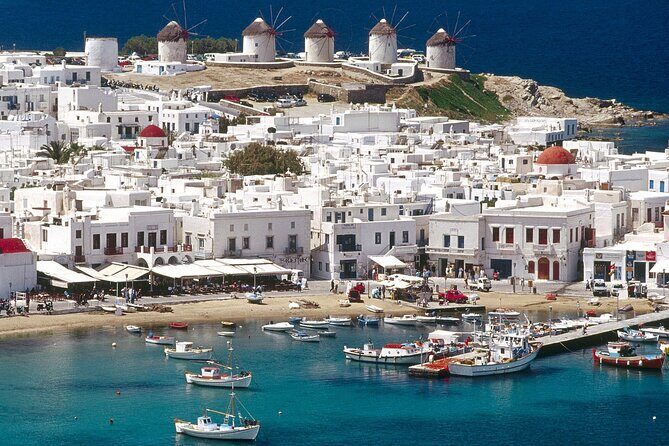 Half Day Private Tour in Mykonos Island with Local Experts - What to Expect from the Tour: A Deep Dive