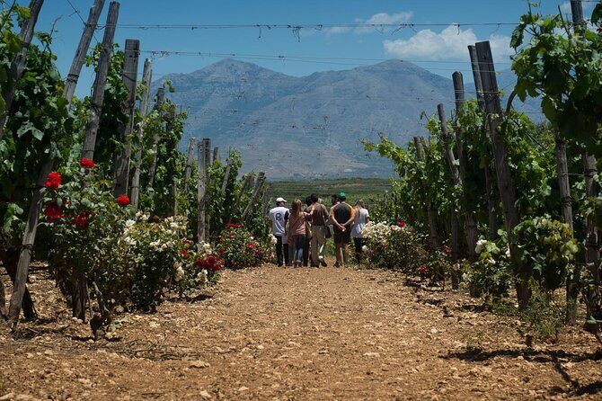 Half-Day Private Tour in Two Wineries and Archanes from Heraklion - FAQ
