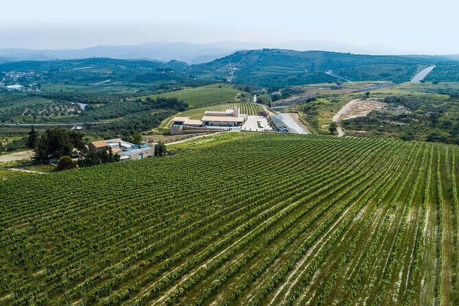 Half-Day Private Tour in Two Wineries and Archanes from Heraklion - Final Thoughts