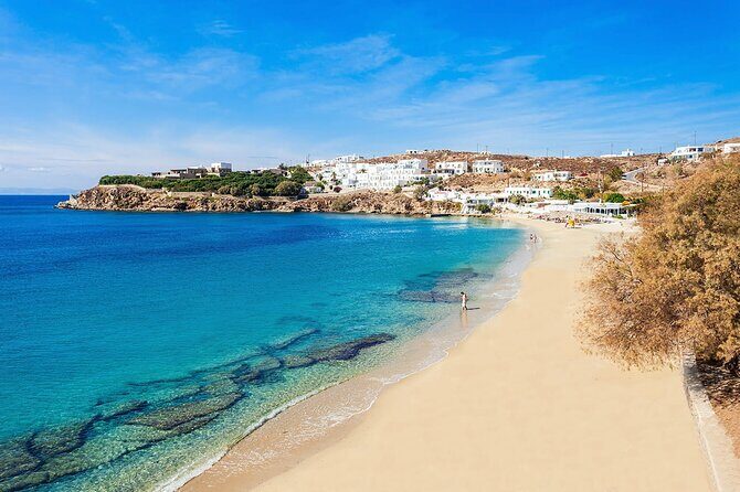 Half Day Private Tour Island with a Local in Mykonos - What to Expect from the Tour