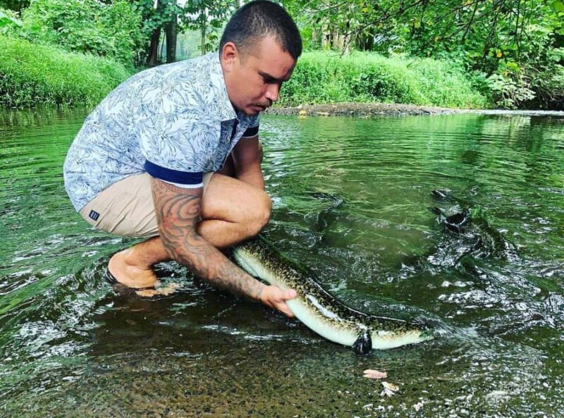 Half day Private tour of Moorea Safari Albert Pick up hotel - Getting to Know the Tour