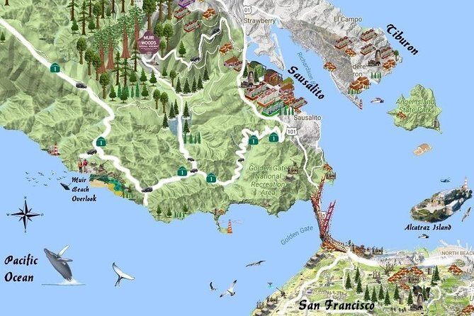 Half-Day Private Tour of Muir Woods & Sausalito from San Francisco - The Experience in Detail