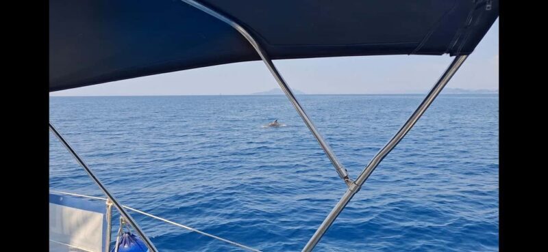 Half Day Private Tour to Elaphiti & Blue Cave From Dubrovnik - FAQ