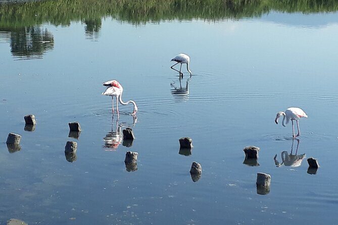 Half-Day Private Trip from Cagliari to Barumini in Su Nuraxi - The Highlight: Su Nuraxi