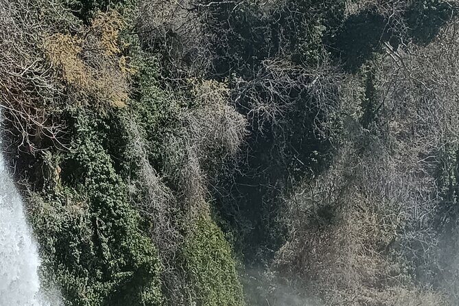 Half-Day Private trip to pozar waterfalls and hot springs - FAQ