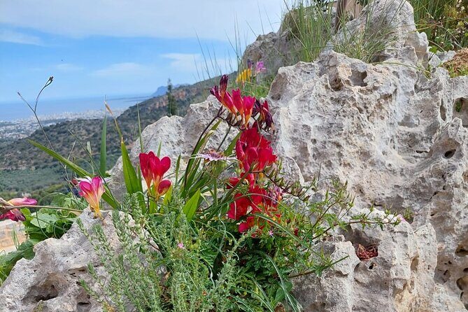 Half-Day Private Walking Tour along the Orthodox Gorge - What You’re Getting for the Price