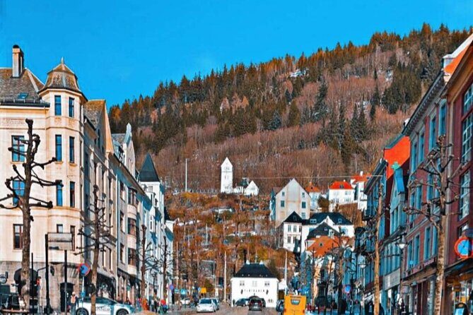 Half-Day Private Walking Tour in Bergen with Dinner and Funicular - FAQ