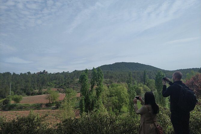 Half Day Private Wine & Oil Tasting Tour near Barcelona with hotel pick up - Final Thoughts: Who Should Consider This Tour?