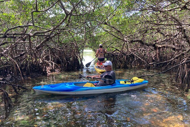 Half Day Rental to John's Pass Sandbar & Mangrove Tunnel - What This Experience Offers