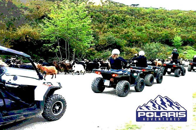 Half-Day Rethymno Quad Safari - Who Is This Tour Best Suited For?