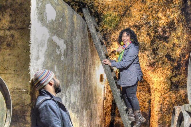 Half Day Rioja Wine Tour - Key Points