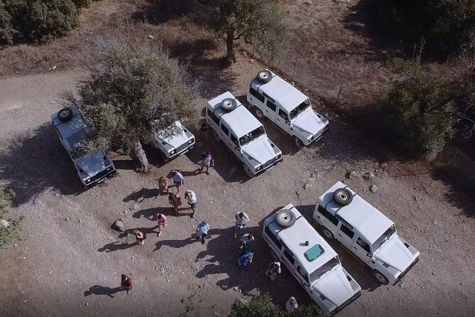 Half day Safari Tour to Akamas Peninsula from Paphos - The Transportation and Guide Experience