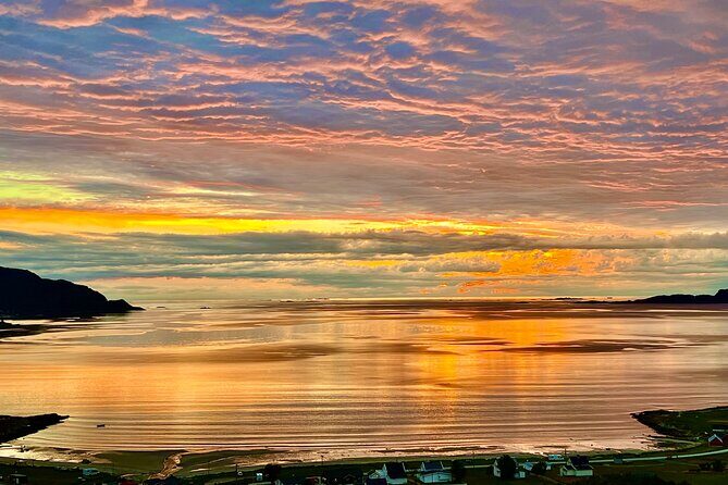 Half-Day Scenic Wildlife & Photographic Fjord Tour. - The Sum Up