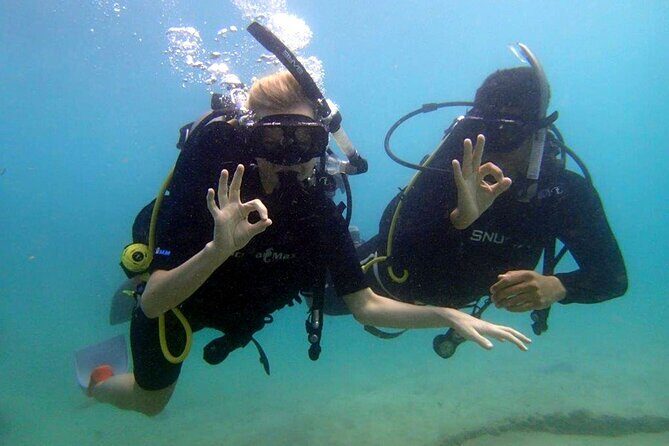 Half Day Scuba Diving Course enjoy Pool and Beach Dive Adventure - What to Expect from the Experience