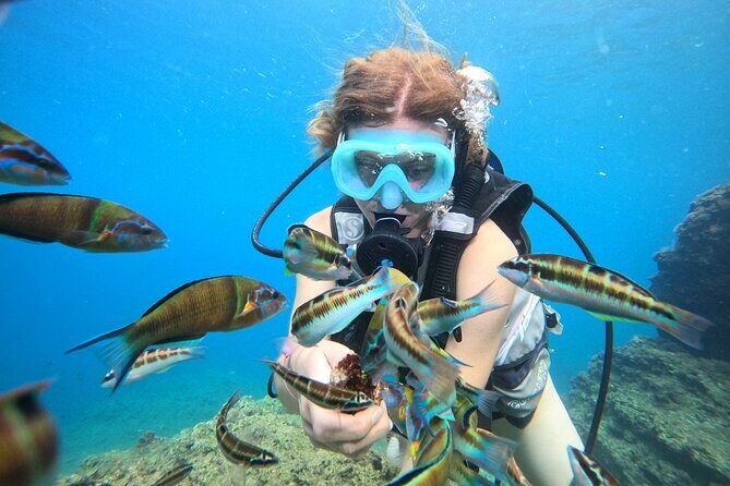 Half Day Scuba Diving @ Duden Waterfalls - Price and Value