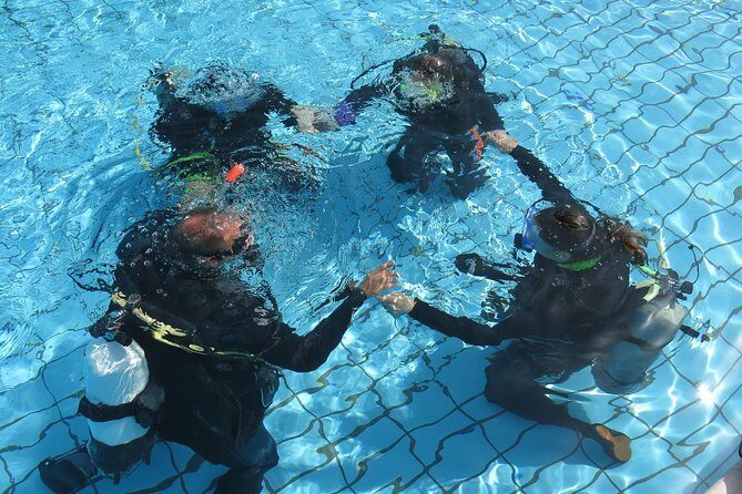 Half-Day Scuba Diving Tour - Discover Scuba Diving! - The Bottom Line