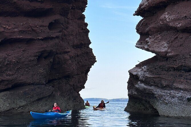 Half Day Sea kayak Guided Tour - FAQ