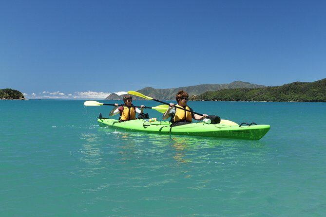 Half day Sea Kayak Guided Tour from Picton - Why This Tour Might Be Perfect for You