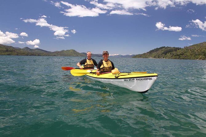 Half day Sea Kayak Guided Tour from Picton - Final Thoughts