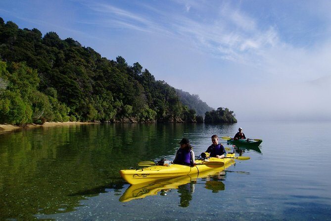 Half day Sea Kayak Guided Tour from Picton - FAQs