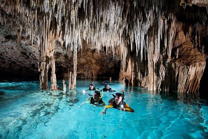 Half-Day Sea Turtle and Cenote Snorkeling Tour from Cancun & Riviera Maya - The Bottom Line