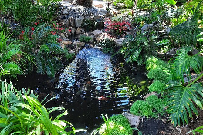 Half Day Self Guided Electric Bike Tour of North San Diego Coast - FAQ