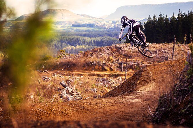 Half-Day Self-Guided Mountain Bike Journey through Whakarewarewa Redwood Forest - Key Points