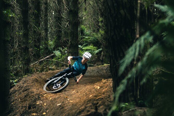 Half-Day Self-Guided Mountain Bike Journey through Whakarewarewa Redwood Forest - Is This Tour Worth It?