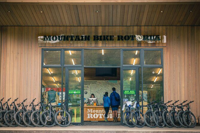 Half-Day Self-Guided Mountain Bike Journey through Whakarewarewa Redwood Forest - The Sum Up