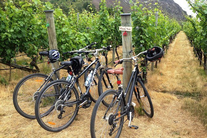 Half-Day Self-Guided Ride and Wine Bike Tour from Arrowtown - Key Points