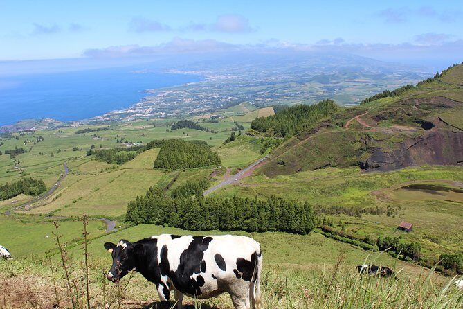 Half Day Sete Cidades PRIVATE Jeep Tour - What the Tour Covers and Why It Matters