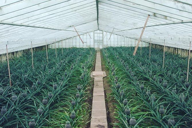 Half Day Seven Cities Tour | Half Day Seven Cities Tour (Min. 2 Persons) - Frequently Asked Questions