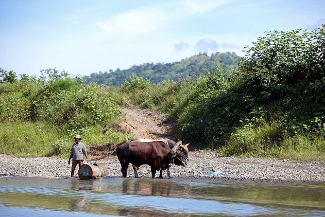 Half Day Sigatoka River Jetboat & Village Tour with Lunch & Transfers - The Practical Side: Details That Matter