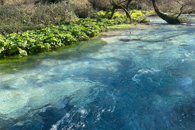 Half-Day Sightseeing Tour to Gjirokastra and Blue Eye - Who is this tour best suited for?