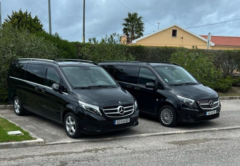 Half Day Sintra Half Day Tour - Who Will Love This Tour