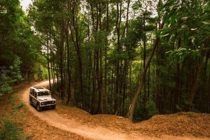 Half-day Sintra Jeep Safari - Who Is This Tour Best For?