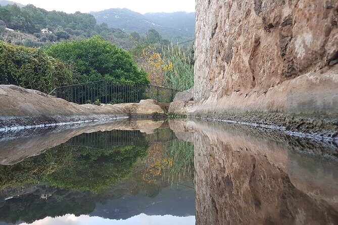 Half Day Slingshot Tour from Paguera - The Itinerary Breakdown