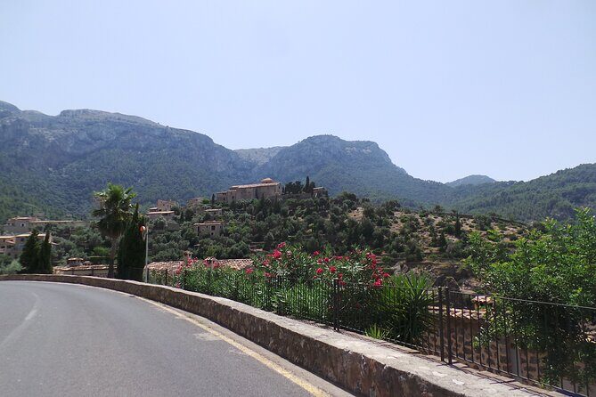 Half Day Slingshot Tour from Paguera - Pricing and Value