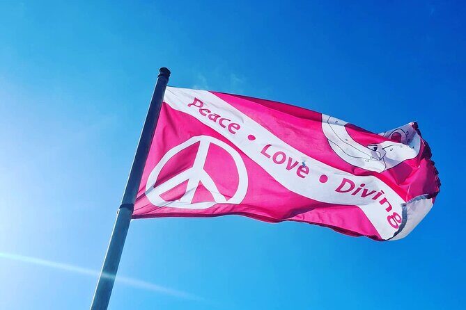 Half-Day Small-Group 2-Tank Scuba Dive in Key Largo (CERTIFIED DIVERS ONLY) - Key Points