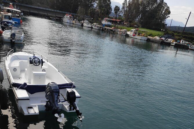 Half-Day Small-Group Boat Safari in Crete - The Real Experience: What Reviewers Say