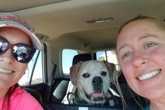 Half-Day Small Group Offroad 4x4 Truck Tour in San Diego - Key Points