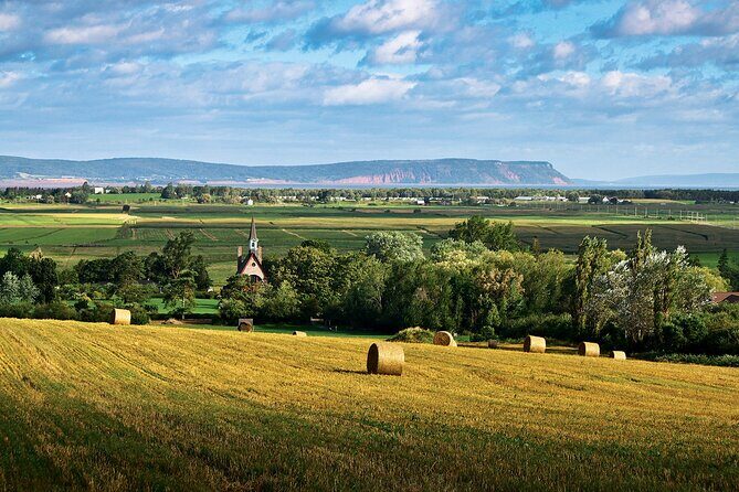 Half-Day Small-Group Tour of Annapolis Valley - What Travelers Say: Authentic Perspectives