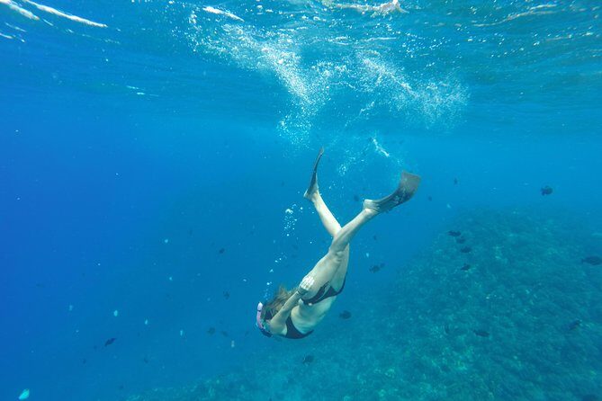 Half Day Snorkel to Lanai from Kaanapali Beach + Dolphin Search - A Close Look at the Tour Itinerary and Experience