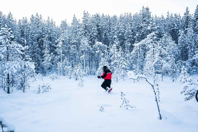 Half Day Snowshoe Hiking Adventure in Levi Lapland - Who Will Love This Tour?