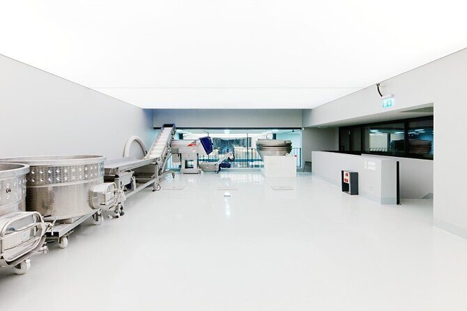 Half Day Tokaj Wine Tasting Tour in Mád Hungary with lunch - What to Expect from the Tour